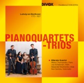 Piano Quartet in E-Flat Major, WoO 36, No. 1: I. Adagio assai artwork