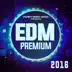 EDM Premium 2016 album cover