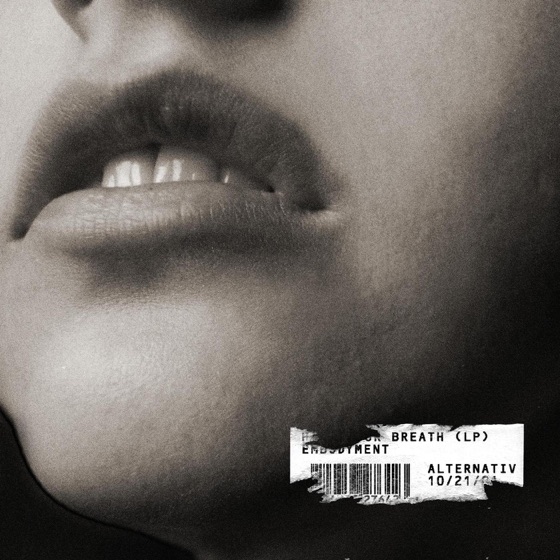 Cover artwork for K-9