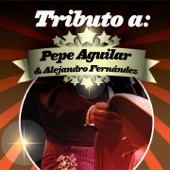 Tributo a Pepe Aguilar & Alejandro Fernández artwork