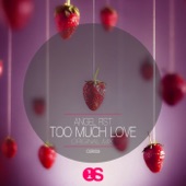 Too Much Love artwork