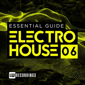 Essential Guide: Electro House, Vol. 6 by Various Artists album reviews, ratings, credits