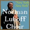 Yellow Bird - Norman Luboff Choir lyrics
