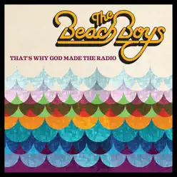 That's Why God Made the Radio - The Beach Boys