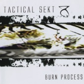 Burn Process artwork