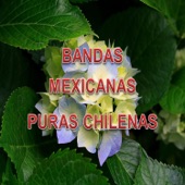 Puras Chilenas - La Tixtlequita