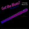 Got the Blues? Chicago Blues in the Key of C for Recorder Players - Single album lyrics, reviews, download