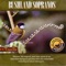 Tawny-Crowned Honeyeater - David Stewart lyrics