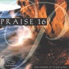 Praise 16 - The Power of Your Love, 1997
