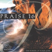 Praise 16 - The Power of Your Love artwork