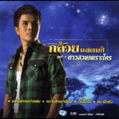 โง่เรื้อรัง artwork