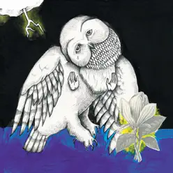 The Magnolia Electric Co. - Songs:Ohia