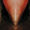 Aamelotasis - Venetian Snares lyrics