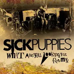 What Are You Looking For (Radio Mix) - Single - Sick Puppies