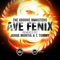 Ave Fenix (T. Tommy Remix) - The Groove Ministers lyrics