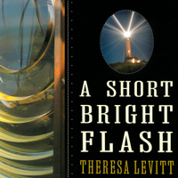 Theresa Levitt - A Short Bright Flash: Augustin Fresnel and the Birth of the Modern Lighthouse (Unabridged) artwork