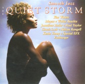 Smooth Jazz - The Quiet Storm artwork