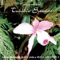 Impressão Bachiana (Estudo) - Turibio Santos lyrics