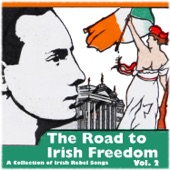 The Road to Irish Freedom - A Collection of Irish Rebel Songs, Vol. 2 artwork