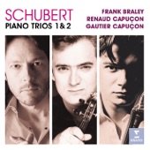 Trio for Piano, Violin & Cello No.1 in Bb Major, Op.99 D898: Allegro moderato artwork