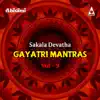 Sakala Devatha Gayatri Mantras, Vol. 9 album lyrics, reviews, download