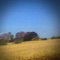 I Watched the Film the Song Remains the Same - Sun Kil Moon lyrics