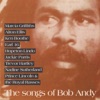 The Songs of Bob Andy, 2014