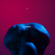 Descent - midnight
