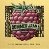 Summer Jam! (Best of 2014 - 2016)