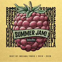 Summer Jam! (Best of 2014 - 2016) by Various Artists album reviews, ratings, credits