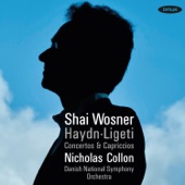Haydn & Ligeti: Concertos & Capriccios artwork