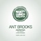 Amnesia (Steve Shaden Remix) - Ant Brooks lyrics