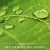 50 Canciones Relajantes - 50 Música de Relajacion para Dormir e Meditar Profundamente, Música para Paz Interior para Aprender Como Dormir Bien artwork