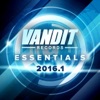 Vandit Records: Essentials 2016.1