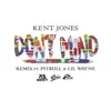 Don't Mind (Remix) [feat. Pitbull & Lil Wayne] - Single album lyrics, reviews, download