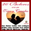 20 Boleros Con Trios y Cuerdas, Vol. 1