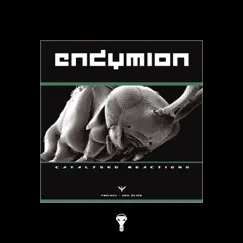 Catalyses Reactions, Pt. 3 - EP by Endymion & Meagashira album reviews, ratings, credits