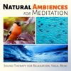 Morning Birds Singing - Nature Meditation Academy