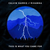 Calvin Harris - This Is What You Came For