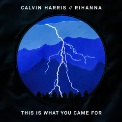 This Is What You Came For (feat. Rihanna) - Single - Calvin Harris