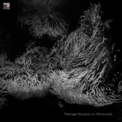 Teenage Mutants - Bokawa
