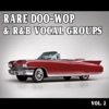 Rare Doo-Wop and Rhythm & Blues Vocal Groups, Vol. 2