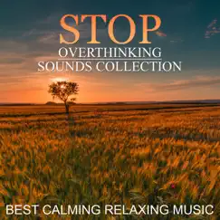 Stop Overthinking Sounds Collection: Best Calming Relaxing Music for Mindfulness Meditation, Yoga, Spa, Deep Sleep, New Age by Thinking Music World album reviews, ratings, credits