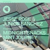 Mint Journey - Single, 2016