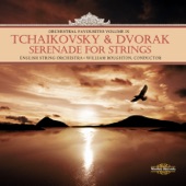 Tchaikovsky & Dvořák: Orchestral Favourites, Vol. IX artwork