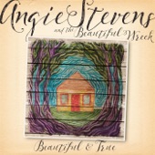 Sweet Emily (feat. Gregory Alan Isakov) artwork