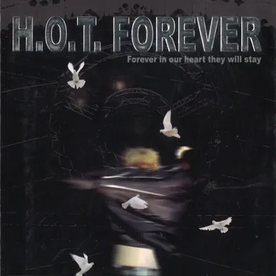 Forever 2001 Live Concert (Live) - H.O.T.