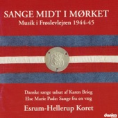Sange Fra Mørket - Musik I Frøslevlejren 1944-45 artwork