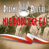 Pieśni Polski Niepodległej artwork