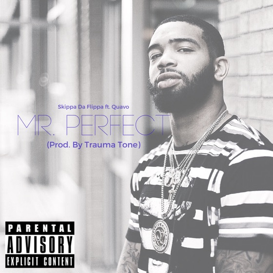 Cover artwork for Mr. Perfect (feat. Quavo)
